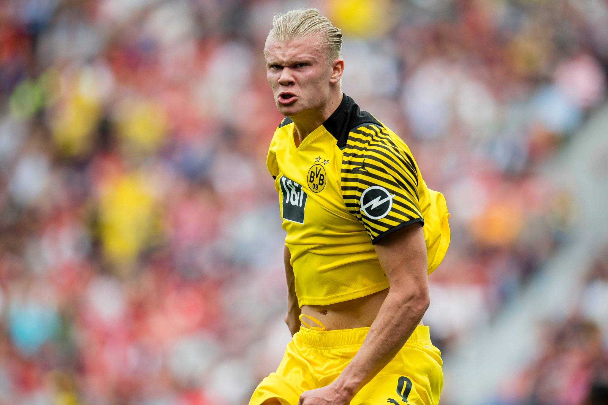 猎鹰和FaZe退出BLAST Open春季赛2025